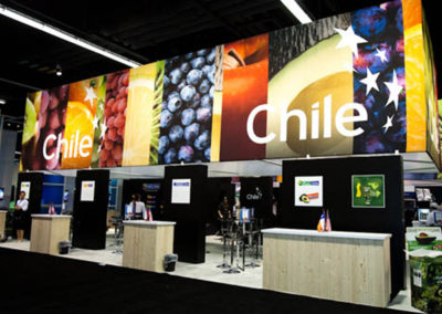 Chile exhibit abroad
